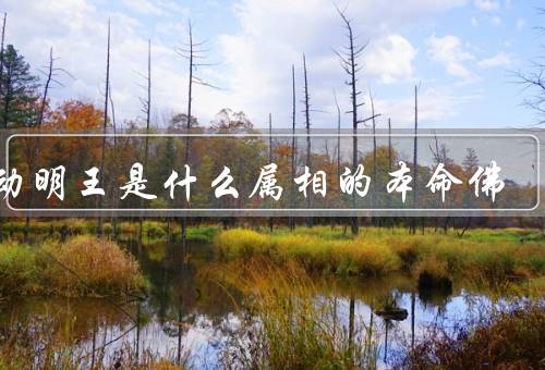 不动明王是什么属相的本命佛，来历、象征意义、信仰好处