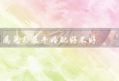 属兔与属牛婚配好不好，吸引、相互支持、成长