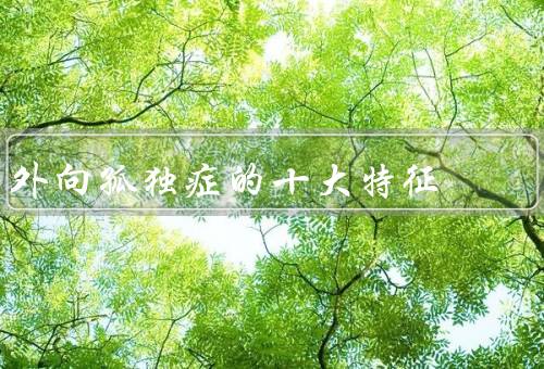 外向孤独症的十大特征（语言和沟通困难／重复和刻板行为／兴趣狭窄）