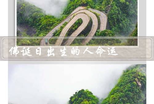 佛诞日出生的人命运，悟道之路／修行与智慧／慈悲与利他
