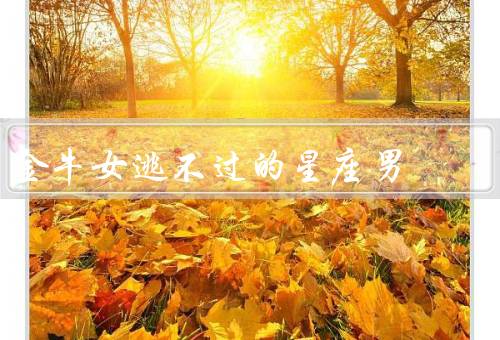 金牛女逃不过的星座男（白羊座、双子座、射手座）
