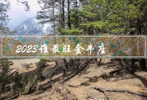 2023谁最旺金牛座（事业上的旺盛／财务状况的提升）