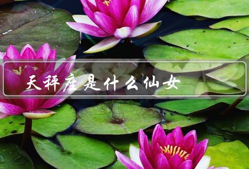天秤座是什么仙女，人际关系处理、追求和谐、艺术气质