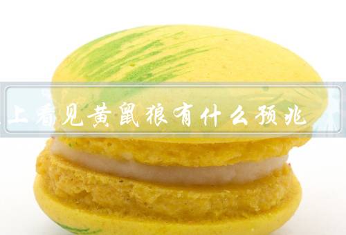 晚上看见黄鼠狼有什么预兆（特征、预兆、科学解释）