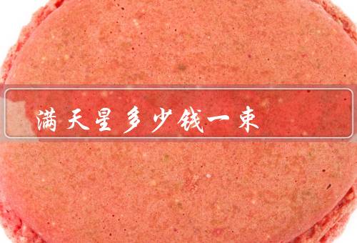 满天星多少钱一束（种类和价格／购买渠道／养护方法）