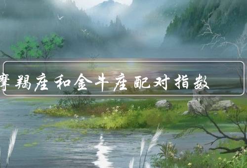 摩羯座和金牛座配对指数（相似的价值观、相互支持和理解）