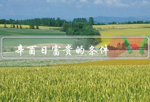 辛酉日富贵的条件，天时、个人气质、努力奋斗
