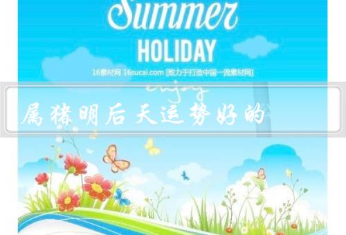 属猪明后天运势好的，机遇降临／人际助力／积极成果