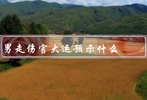 男走伤官大运预示什么，定义、特征、预示