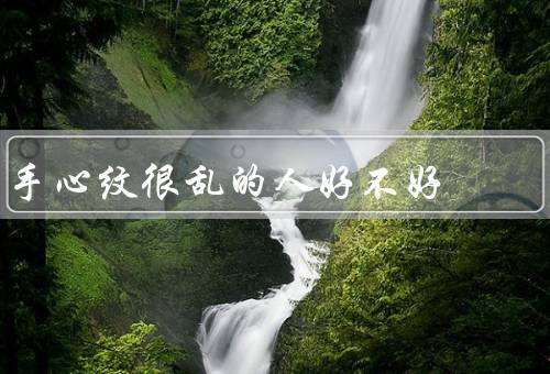 手心纹很乱的人好不好（手心纹的乱象／乱中有序的人）
