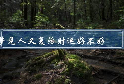 梦见人又复活财运好不好