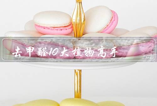 去甲醛10大植物高手（芦竹、吊兰、常春藤）