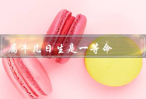 属牛几日生是一等命，事业有成、财富稳定、一生平顺