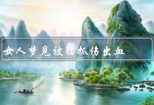 女人梦见被猫抓伤出血（潜意识的矛盾／面临困境和挑战）