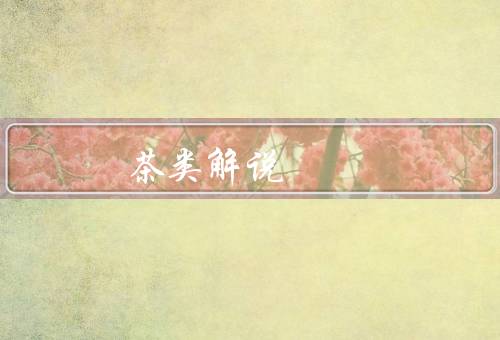 茶类解说：碧螺春属于什么茶，产地／外形特点／香气和口感