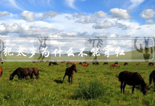 犯太岁为什么不能穿红，犯太岁的原因、红色与太岁的关系