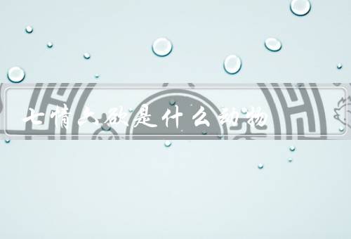 七情六欲是什么动物，喜怒忧思悲恐惊／财欲食欲睡欲求名欲安居欲