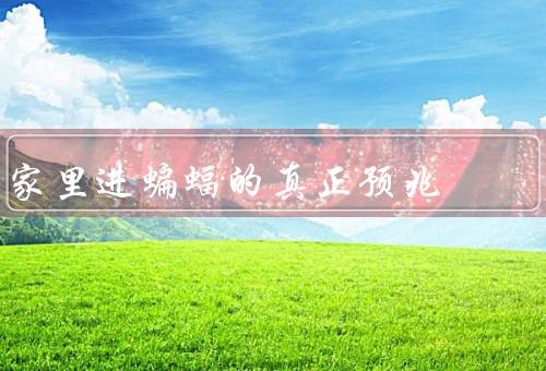 家里进蝙蝠的真正预兆，预示着的不祥之事／会带来疾病和感染