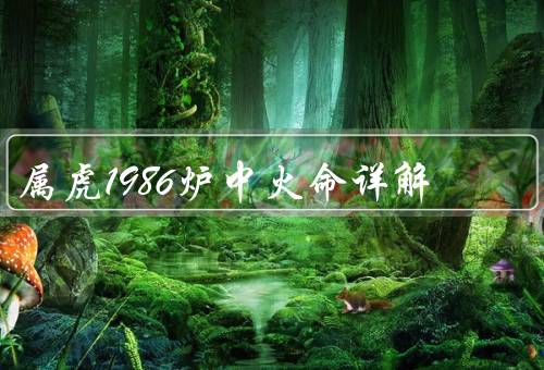属虎1986炉中火命详解（特点／事业和财运／情感和健康）