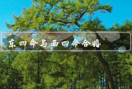 东四命与西四命合婚