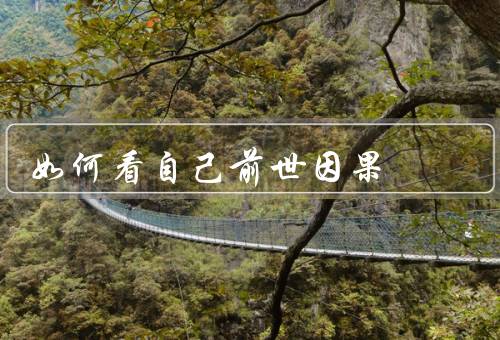 如何看自己前世因果，看自己前世因果、前世因果的重要性