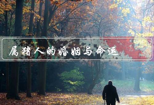 属猪人的婚姻与命运（婚姻观、命运、建议）