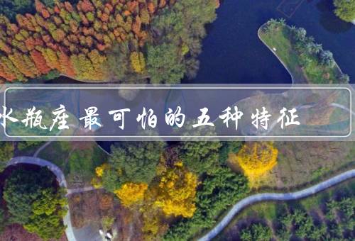 水瓶座最可怕的五种特征，理性至上／独立自主／不合群