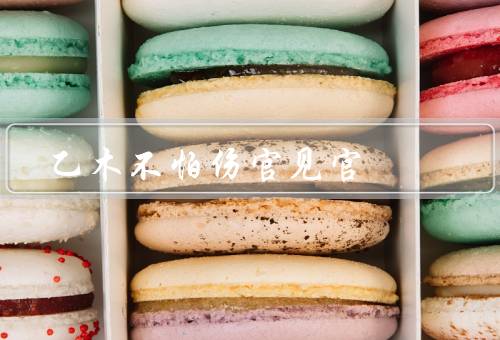 乙木不怕伤官见官，伤官星／官星／发展建议