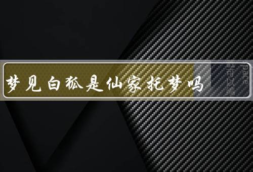 梦见白狐是仙家托梦吗（梦境中的白狐／仙家托梦的可能性）