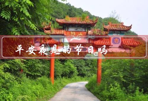 平安夜是中国的节日吗，历史背景／在传播／传统节日