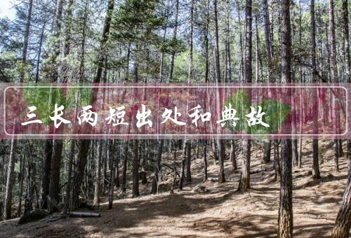 三长两短出处和典故（故事背景／三长两短的含义／应用于现实生活）