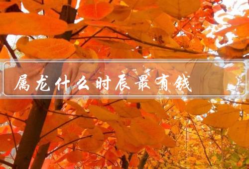 属龙什么时辰最有钱，早上时辰／中午时辰／晚上时辰
