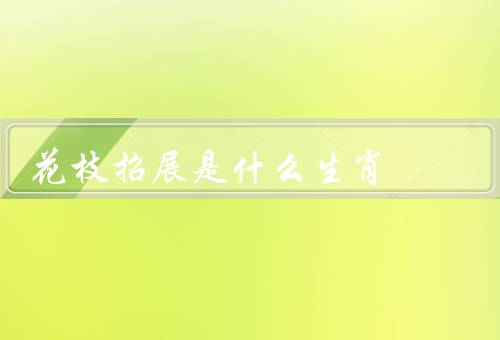 花枝招展是什么生肖，特点／表现／优势与建议