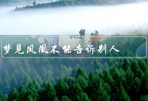 梦见凤凰不能告诉别人，迷失的奇遇／神秘的意义／珍贵的回忆