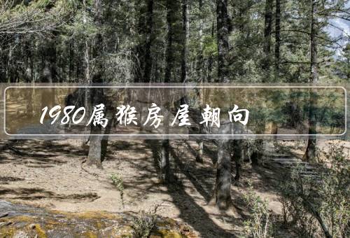 1980属猴房屋朝向风水（家居朝向对人的运势的影响）