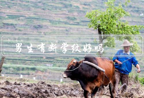 男生有断掌纹好吗，命运、个性特质、健康