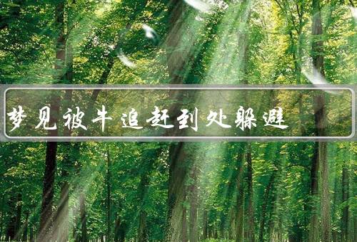 梦见被牛追赶到处躲避，追逐的恐惧／无助的躲避／无尽的噩梦