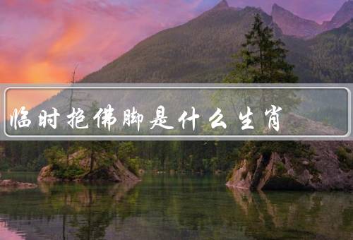 临时抱佛脚是什么生肖（临时抱佛脚是什么生肖／猴子的临时抱佛脚）