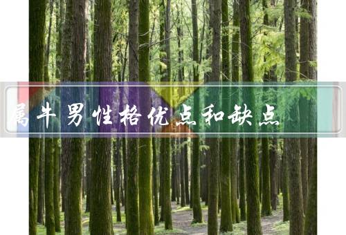 属牛男性格优点和缺点（稳重、踏实、固执）
