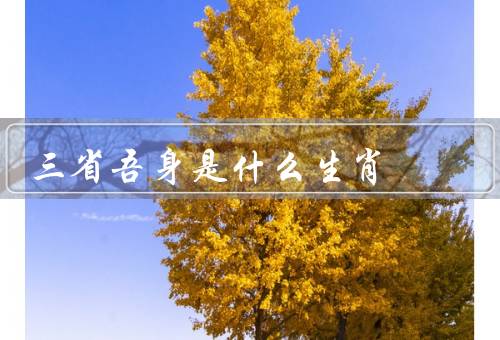 三省吾身是什么生肖（故事、品质、启示）