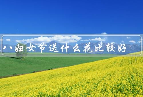 三八妇女节送什么花比较好，表达爱意：玫瑰花／展示关怀：康乃馨