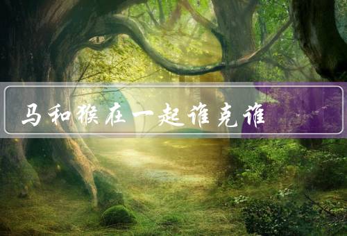 马和猴在一起谁克谁（马的力量／猴的灵活性／彼此克制）