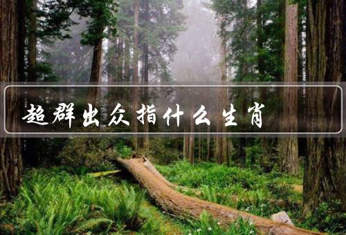 超群出众指什么生肖，属鼠、属龙、属马