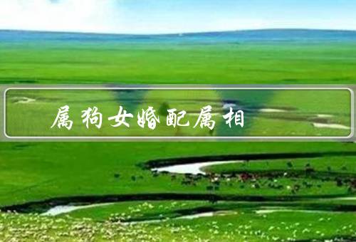 属狗女最佳婚配属相，兔男／虎男／属鼠男