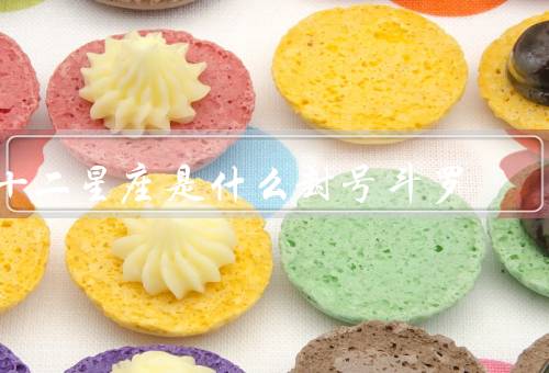十二星座是什么封号斗罗，白羊座／金牛座／双子座