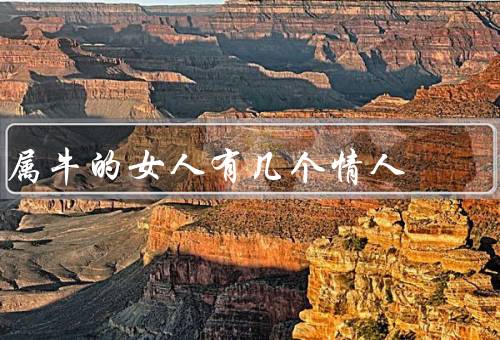 属牛的女人有几个情人，多情而浪漫／不愿束缚自己／渴望真爱与稳定