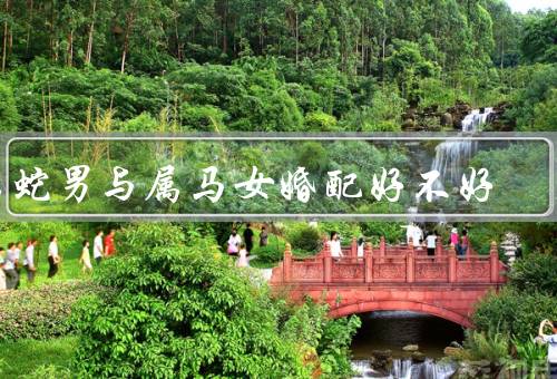 属蛇男与属马女婚配好不好（吸引、相互理解、协调）