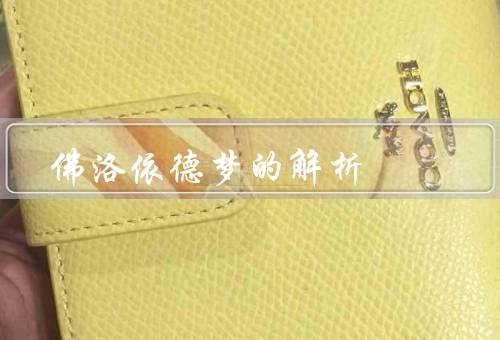 佛洛依德梦的解析（本质、功能、解析的意义）