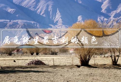 属兔终生最吉利的颜色，给属兔带来好运／搭配和应用／注意事项