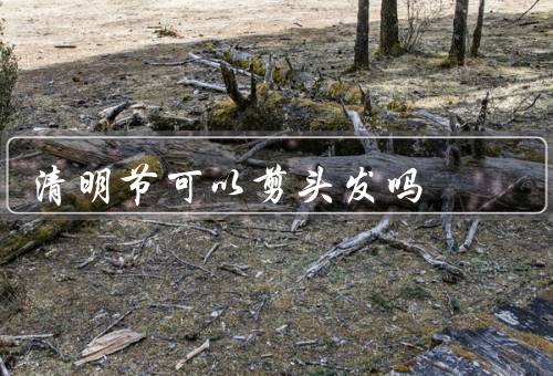 清明节可以剪头发吗（传统观念、现代观念、个人选择）